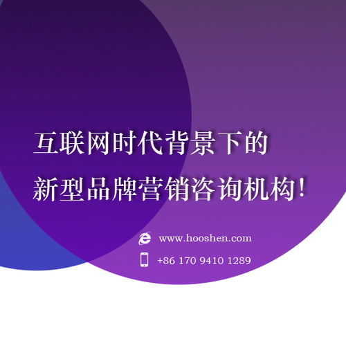 2024年十大网络广告投放公司排名与选择指南